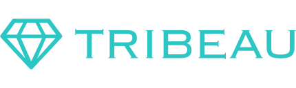 株式会社トリビュー